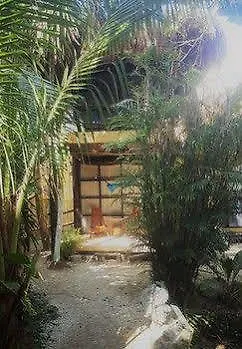 Bed and Breakfast Tunich Тулум Отель