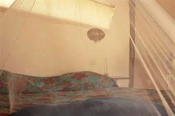 Tunich Bed & Breakfast Tulum Mexico